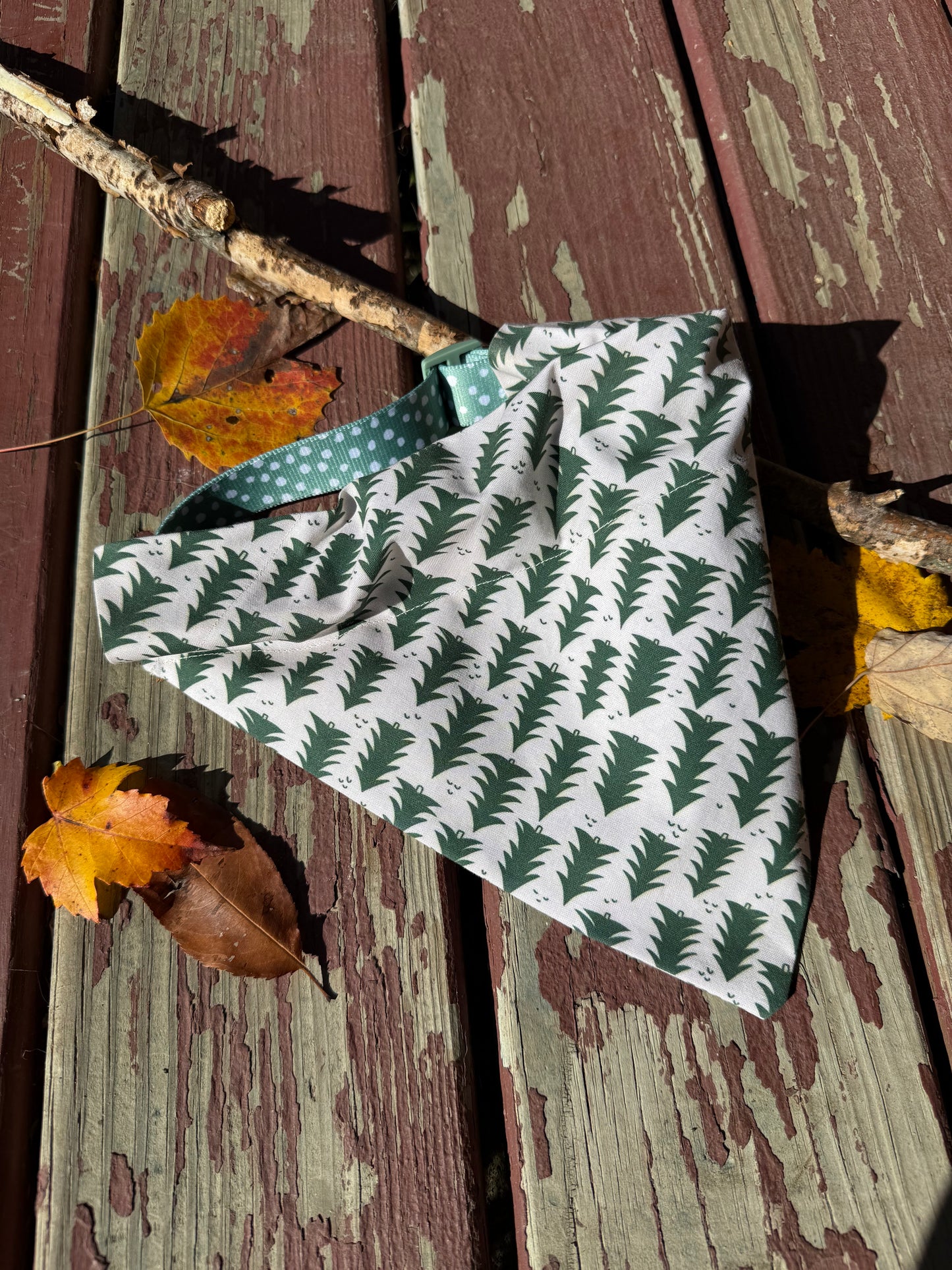 Bandana