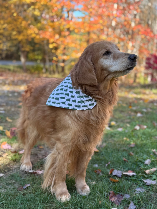 Bandana
