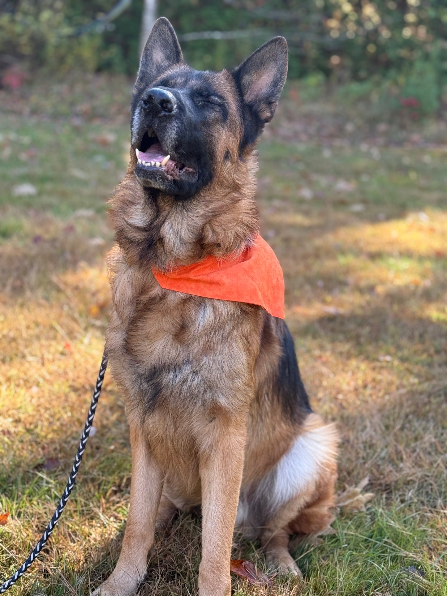 Bandana