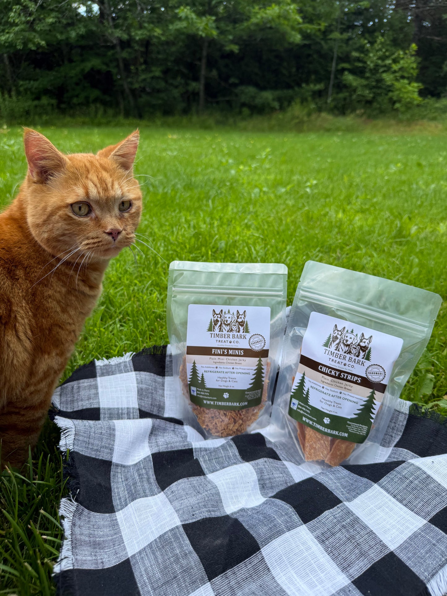Chicky Strip & Fini's Minis Bundle